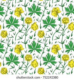 Seamless herbal pattern Trollius asiaticus flowers, globeflower hand drawn vector sketch isolated on white background, Ranunculus for design package, medicine, wedding invite, greeting card, cosmetic