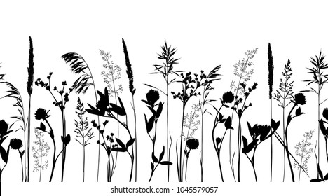 Seamless horisontal border with wild herbs and flowers silhouettes isolated on white background. Endless Meadow grass composition. Summer concept. Vector illustration.