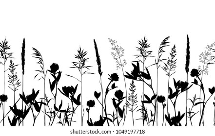 Seamless horisontal border with wild herbs and flowers silhouettes isolated on white background. Endless Meadow grass composition. Summer concept. Vector illustration.