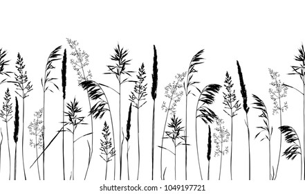 Seamless horisontal border with wild herbs and flowers silhouettes isolated on white background. Endless Meadow grass composition. Summer concept. Vector illustration.