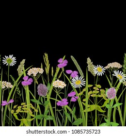 Seamless horizon border with herb and field flowers in watercolor style. Greenery botanical repeat wallpaper for textile prints, country backgrounds, alpine banner with text place and wrapping.