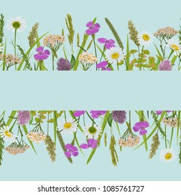 Seamless horizon border with herb, field flowers in watercolor style on sky blue background. Greenery repeat wallpaper for web banners, country textile prints, alpine template with text place, covers.