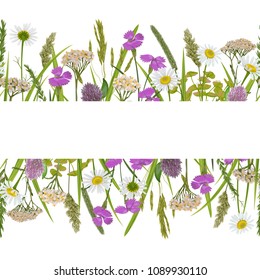 Seamless horizon border with herb, field flowers in watercolor style on white background. Greenery repeat wallpaper for web banners, country textile prints, alpine template with text place, covers.