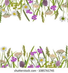 Seamless horizon double border with herb and field flowers in watercolor style on white. Greenery natural repeat wallpaper for textile prints, country backgrounds, alpine banner with text place.