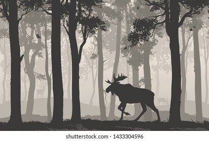 Seamless horizontal background with moose walking in the forest, flying birds and deer in the distance, vector illustration