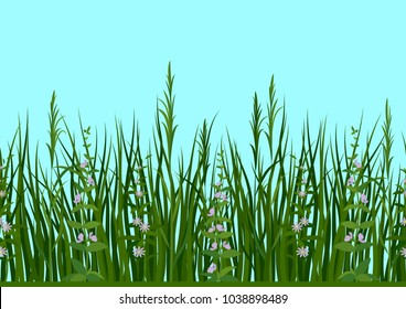 Seamless Horizontal Background, Nature, Landscape with Fresh Green Grass, Leaves, Lilac Flowers and Blue Sky, Tile Pattern for Your Design. Vector