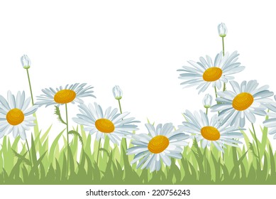 Seamless horizontal background with white daisies