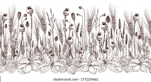 Seamless horizontal banner with wheat spikelets, poppy seed boxes and wild flowers. Hand drawn botanical illustration. Vector isolated on white.