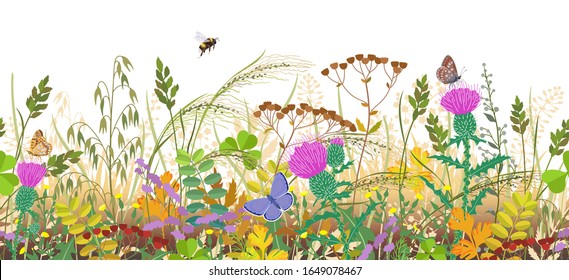Seamless horizontal border with autumn meadow plants and insects. Floral pattern with fading grass, colorful wild flowers in row, bumblebee and butterflies on white background. 