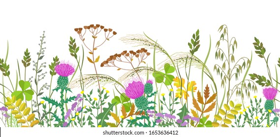 Seamless horizontal border with autumn meadow plants and wild flowers. Floral pattern with fading grass, colorful wild flowers, thistle  in row on white background. 