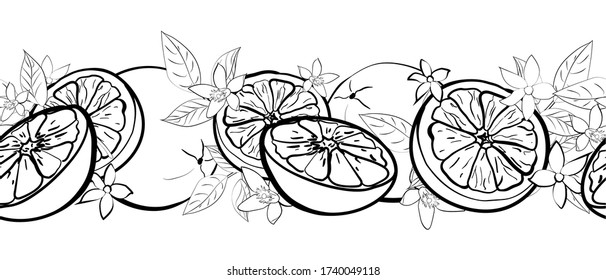 Borde horizontal sin soldadura de cítricos de contorno negro, hojas y flores sobre fondo blanco. Dibujado a mano. Estilo Doodle. Ilustración vectorial.