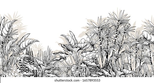 Seamless Horizontal Border With Black And White Tropical Foliage. Hand Drawn Vector Illustration Isolated On White.