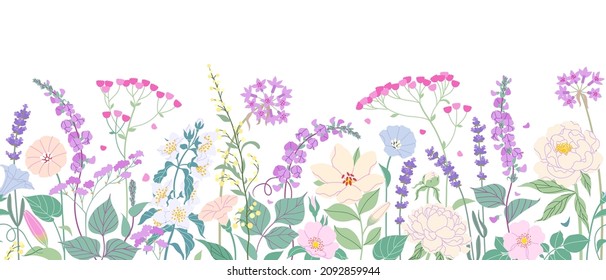 Nahtlose horizontale Grenze mit blühenden Blumen auf weißem Hintergrund. mehrfarbige Gartenblumen in Reihe. Banner mit pastellfarbenem Blumenmuster. Sommerbotanische Vektorgrafik.