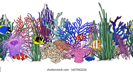 Seamless horizontal border with colorful corals, seaweeds and tropical fishes. Hand drawn vector illustration isolated on white background.