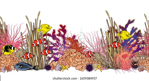 Seamless horizontal border with colorful corals, sea anemones, seaweeds and tropical fishes. Underwater scenery. Hand drawn vector illustration isolated on white.