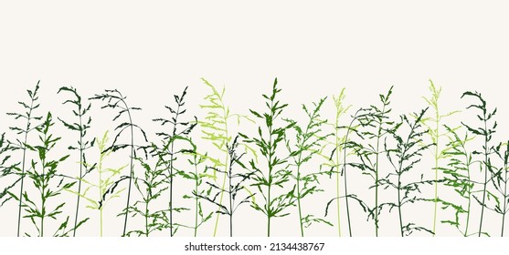 Nahtlose horizontale Grenze mit grünen, zarten, dünnen Silhouetten aus trockenen, wilden Kräuter. Einfache, wilde Grashintergründe. Silhouette von Wiesen in Reihe auf hellem Hintergrund. Vektorgrafik