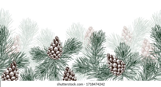 Nahtlose horizontale Grenze mit grünen Kiefernästen und Kiefern. Realistische, handgezeichnete Vektorgrafik einzeln auf Weiß.