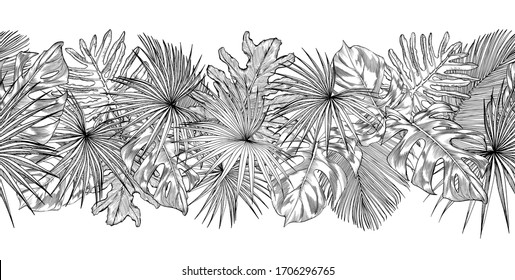 Borde horizontal sin inconvenientes con hojas de palma dibujadas a mano. Composición tropical interminable. Ilustración vectorial aislada en blanco.