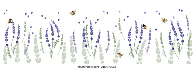 Seamless horizontal border with lavender flowers, bees, bumblebees on a white background. Endless vector flower illustration for banners, packaging, decor