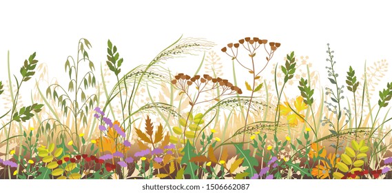 Seamless horizontal border made with autumn meadow plants. Fading and dried grass and wild flowers in row on white background.  Floral natural pattern vector flat illustration.