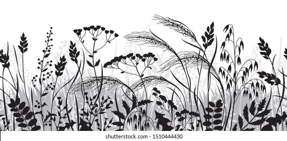 Seamless horizontal border made with monochrome wild plants. Black and grey silhouette meadow grass and wildflowers in row on white background.  Floral natural pattern vector flat illustration.