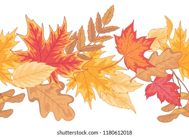 


Seamless horizontal border of multicolor fallen leaves of maple, oak and birch isolated on white. Autumn gesign element for your design 