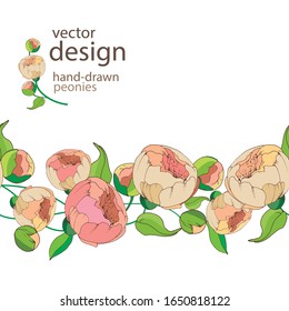 Borde horizontal sin soldadura con peonías rosadas aisladas sobre un fondo blanco. Se puede utilizar como decoración estacional de verano para invitaciones, u otros productos. El adorno floral hecho a mano. Pasos vectoriales10