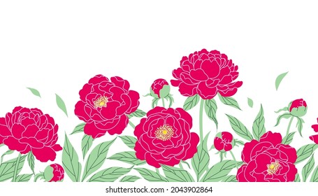 Nahtlose horizontale Grenze mit roten Pfingstrosen auf weißem Hintergrund. Farbenfrohe blühende Gartenblumen in Folge. Blumenmuster mit rosafarbenem Peak und grünen Blättern. Sommerbotanische Vektorgrafik.