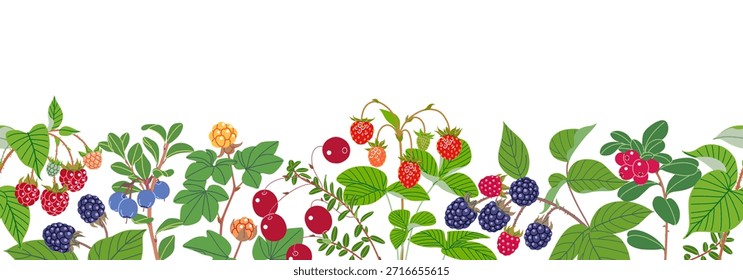 Seamless horizontal border with ripe forest and bog berries on white background. Decorative botanical pattern. Wild growing edible ripe berry vector flat illustration.