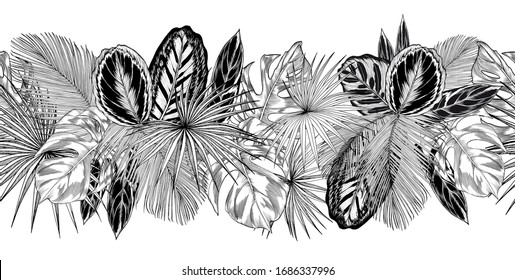 Seamless horizontal border with sketchy tropical palm leaves. Black and white vector illustration.