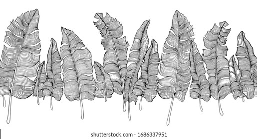 Seamless horizontal border with stylized tropical banana leaves. Black and white sketchy vector illustration.