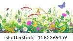 Seamless horizontal border with summer meadow plants and insects. Green grass, colorful wild flowers, bumblebees and butterflies on white background. Floral natural pattern vector flat illustration.