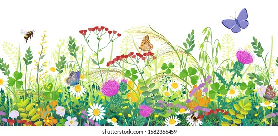 Seamless horizontal border and summer meadow plants   insects  Green grass  colorful wild flowers  bumblebees   butterflies white background  Floral natural pattern vector flat illustration 