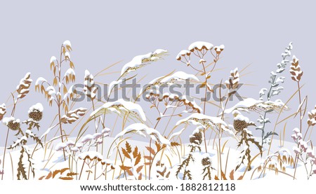 Similar – Image, Stock Photo Thistles in winter Plant