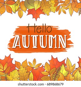 Seamless horizontal borders with colorful skeleton autumn leaves, hello autumn. Vector
