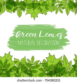 Seamless horizontal borders with colorful transparent skeleton green leaves, natural decoration. Vector