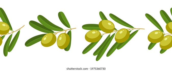 Seamless horizontal composition of branches with green olives, template element for packaging design. Vector illustration flat isolated icon border set on white background.