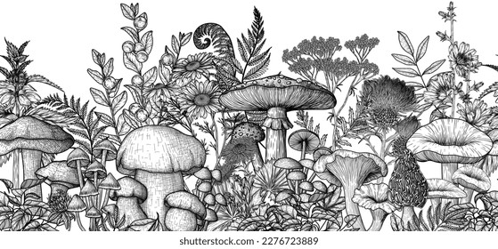 Seamless horizontal forest pattern with mushrooms, plants, herbs. Linear fly agaric, chanterelles, porcini mushroom, honey mushrooms, morels, mycena, russula, boletus, nettle, fern, chicory, chamomile