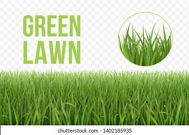 Seamless horizontal green lawn of grass pattern and isolated magnified circle of grass patch. Spring or summer plant lawn. Photo realistic grass on a transparent background.