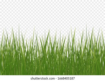 Seamless Horizontal Green Lawn Of Grass Pattern And Isolated Magnified Circle Of Grass Patch. Spring Green Grass, Seamless Pattern. 3d Realistic Vector Set
