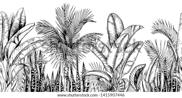Seamless horizontal line with tropical palm trees, banana leaves and snake plants. Black and white. Hand drawn vector illustration.