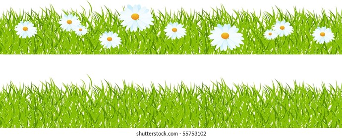 Seamless horizontal mount, grass with camomiles. Vector illustration.
