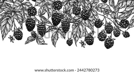 Seamless horizontal pattern of blackberry bush in engraving style