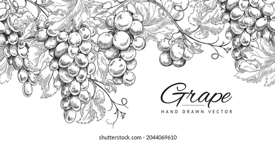 Seamless horizontal pattern or border with grapes hand drawn. Vector sketch illustration in style of engraving isolated on white background. Background for design of wine shop. Retro style.