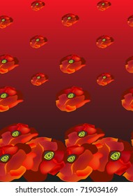Seamless horizontal pattern with flowers poppy on red background. Vector illustration could be used for design background, textile or wallpaper.