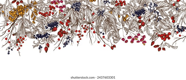 Seamless horizontal pattern of forest berries. Cornus sanguinea, sea buckthorn, rose hips, ligustrum, hawthorn, elderberry, paris quadrifolia, lily of the valley berries, euonymus