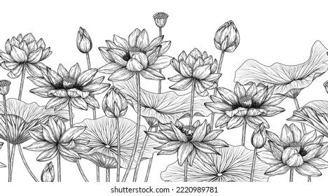 Seamless horizontal pattern garden with lotus flowers in engraving style