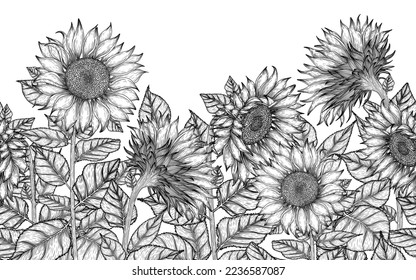 Seamless horizontal pattern garden of sunflowers