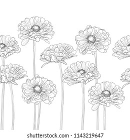 Seamless horizontal pattern with gerbera flowers on a white background hand-drawn in white and black color. Vector natural monochrome outline illustration