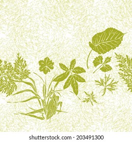 Seamless horizontal pattern with herbs on the scratched background